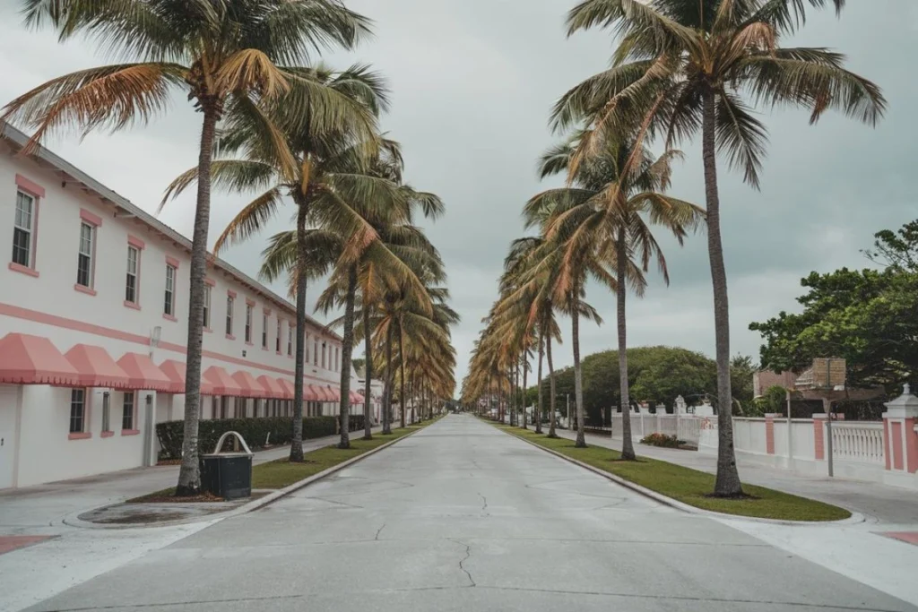 Florida Palm Trees: A Guide to Iconic Beauty and Cultural Significance