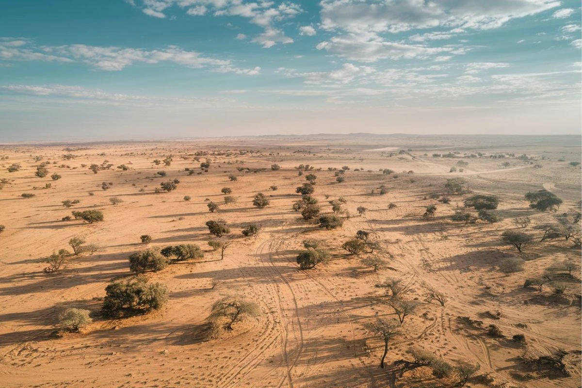 The Crisis of Desertification: Causes, Effects, and Transformative Solutions