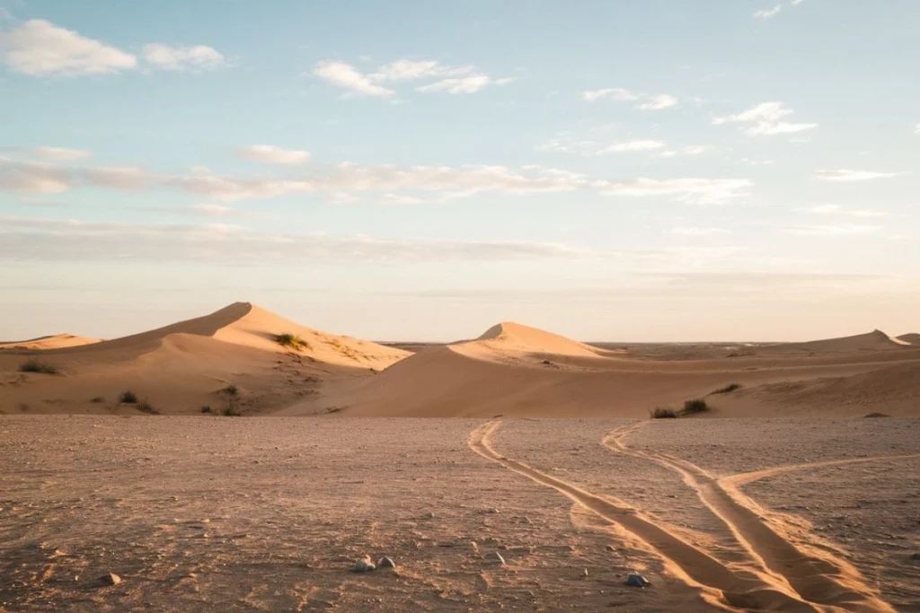The Crisis of Desertification: Causes, Effects, and Transformative Solutions