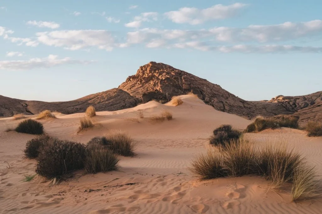 What is Desertification? Causes, Effects, and Solutions