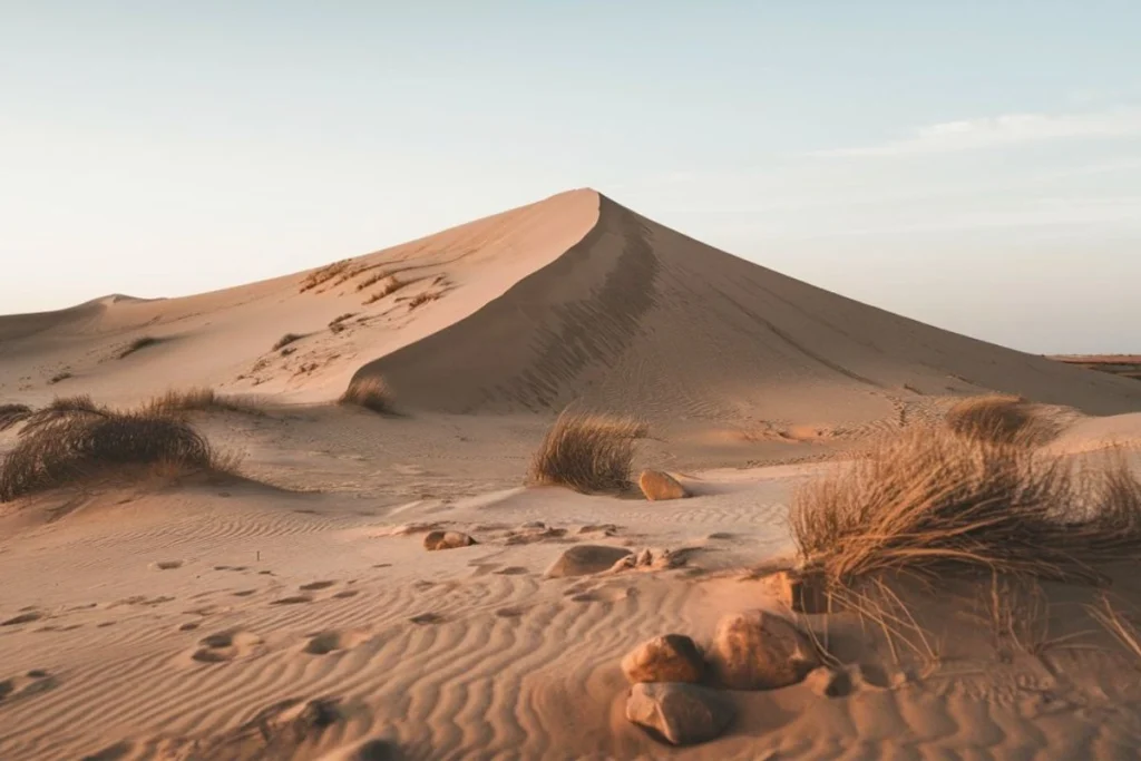 What is Desertification? Causes, Effects, and Solutions