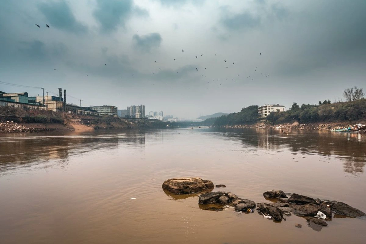 Water Pollution: Causes, Effects, and Sustainable Solutions